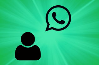 WhatsApp官方入口：纵享全球无障碍沟通