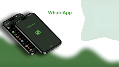 WhatsApp安卓版官方下载-如何下载WhatsApp安卓版